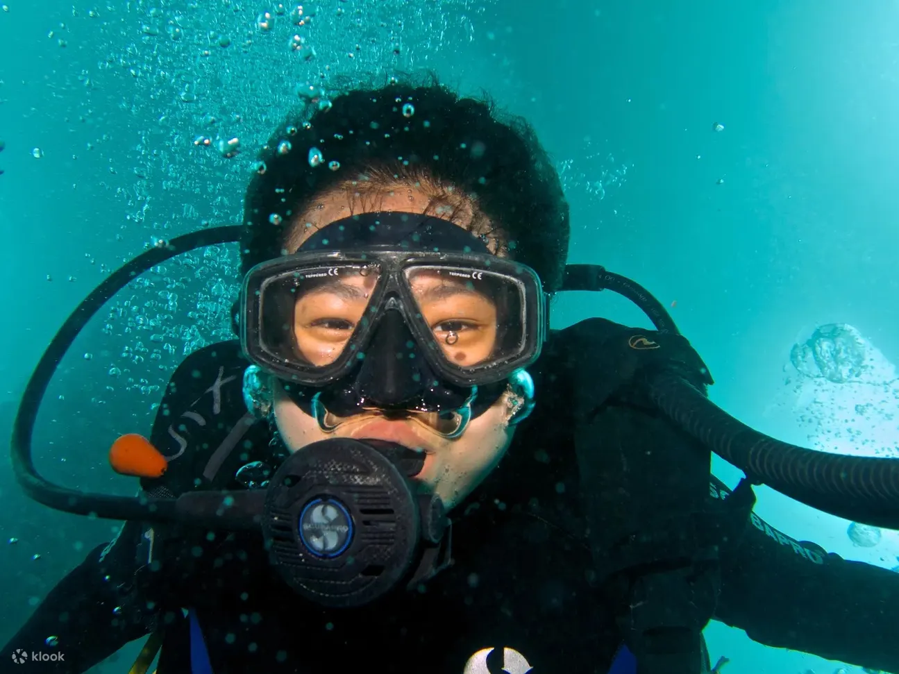 PADI 与 PADI 5 星级潜水中心一起探索八丹拜水肺潜水