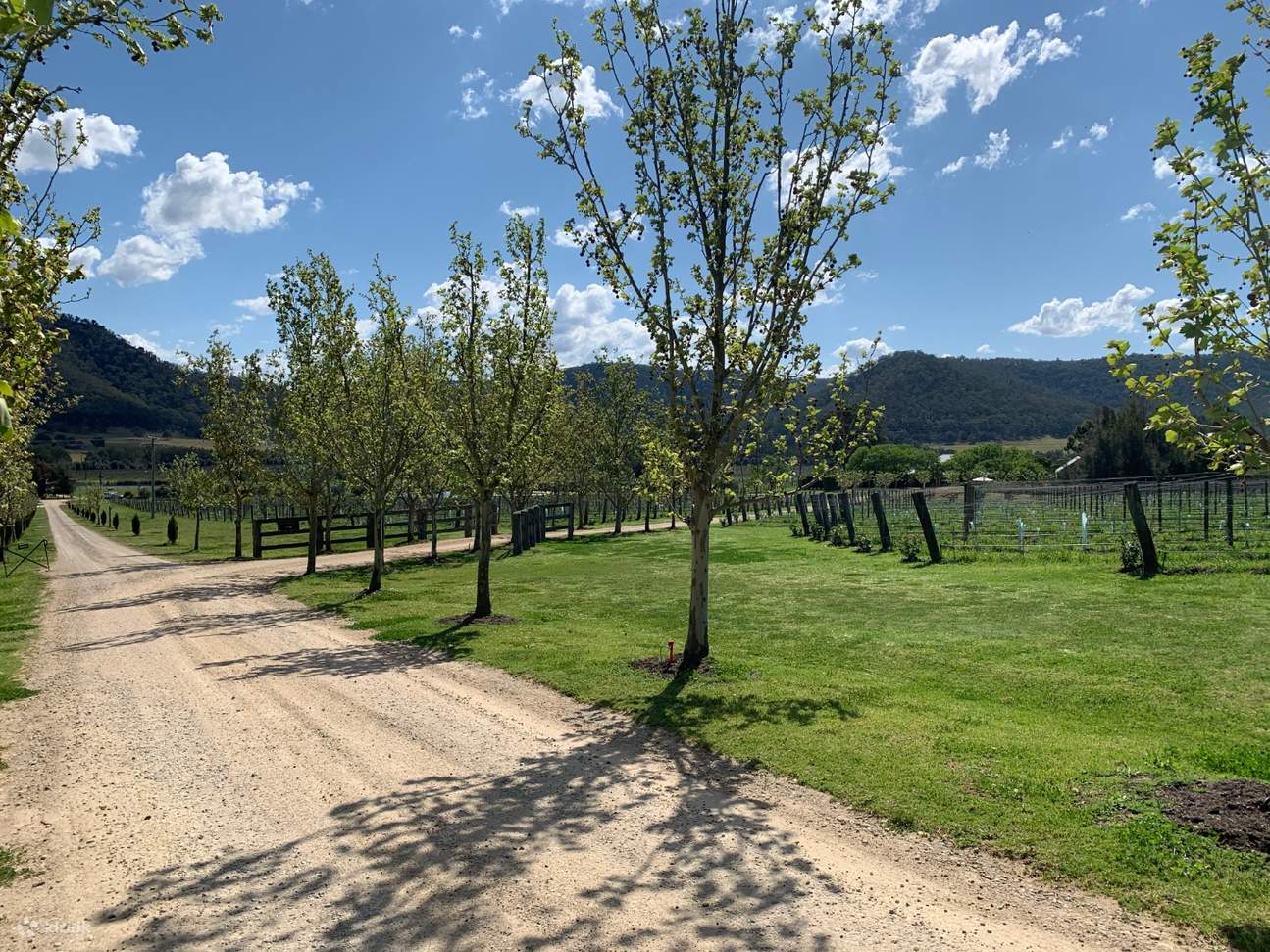 โรงกลั่นไวน์ฮันเตอร์วัลเล่ย์