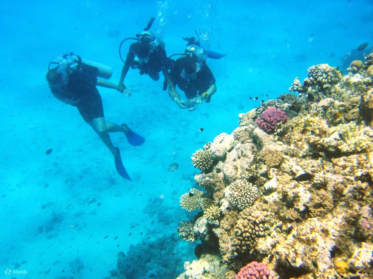 Excursión de día completo en barco para buceo de principiantes con almuerzo - Hurghada