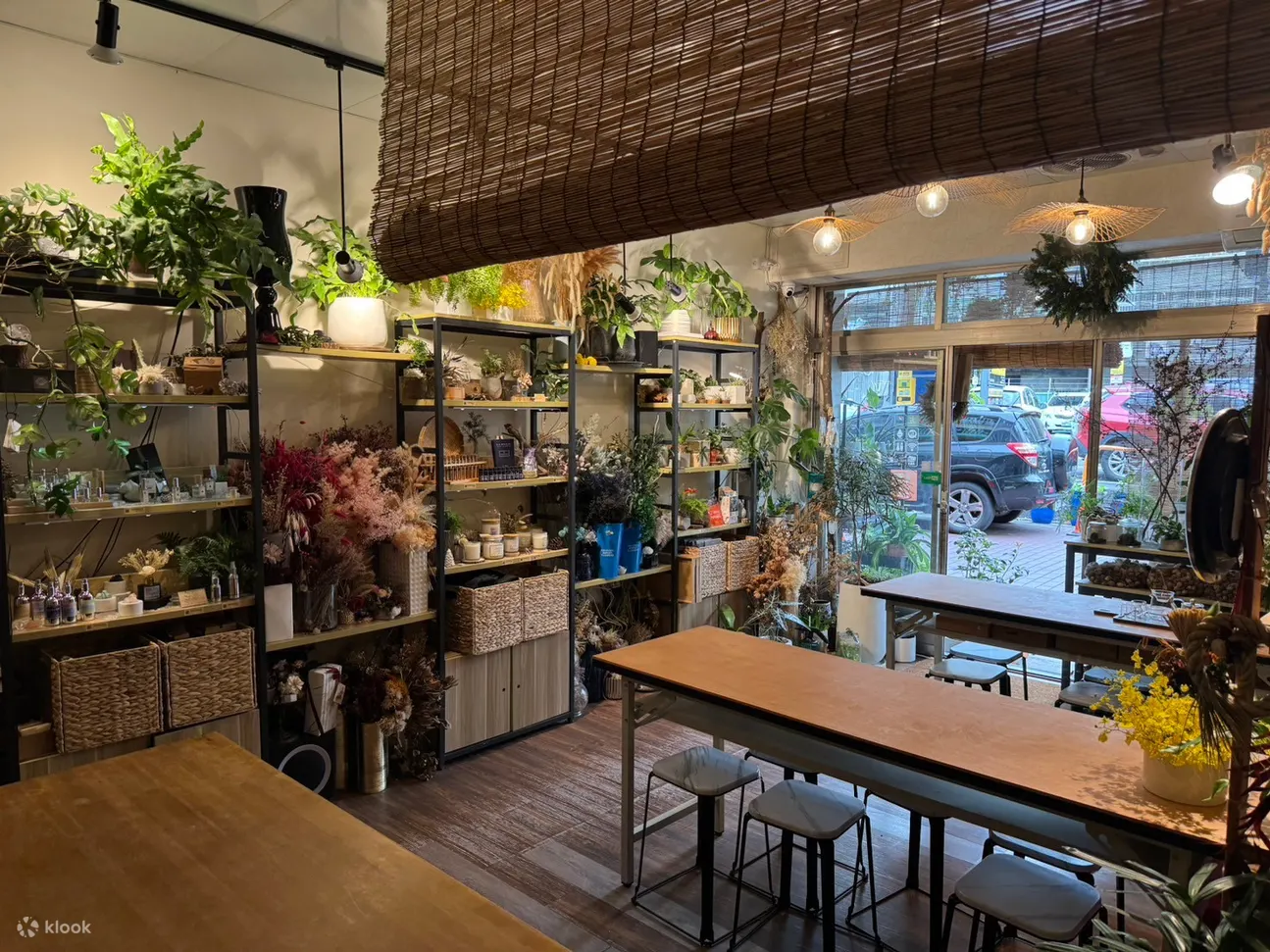 台北: 原生态工作室 - 花艺 & 植物生态瓶 & 多肉青苔球疗愈植栽 (需电话预约)