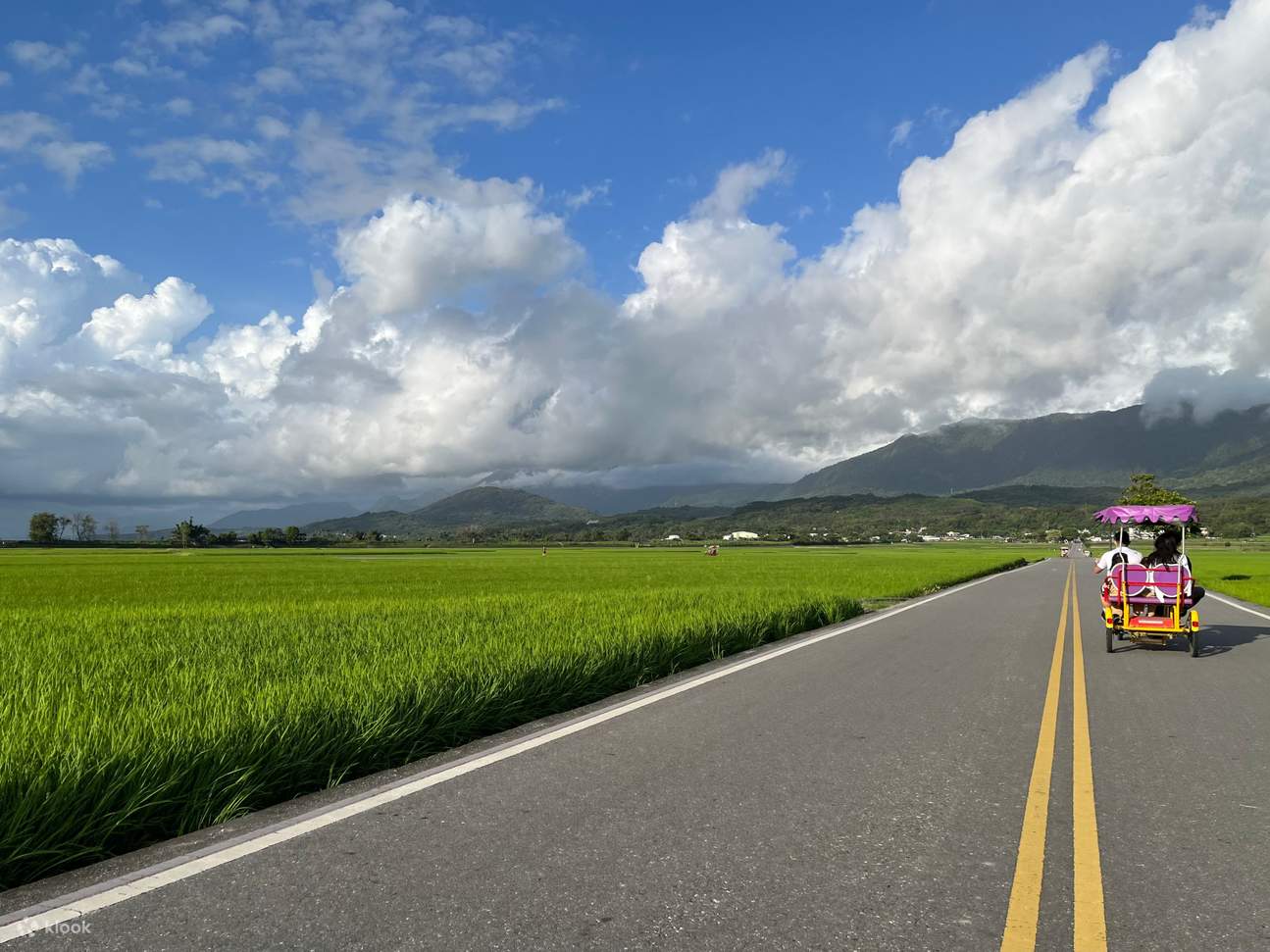Alquiler de bicicletas Ikegami Brown Avenue