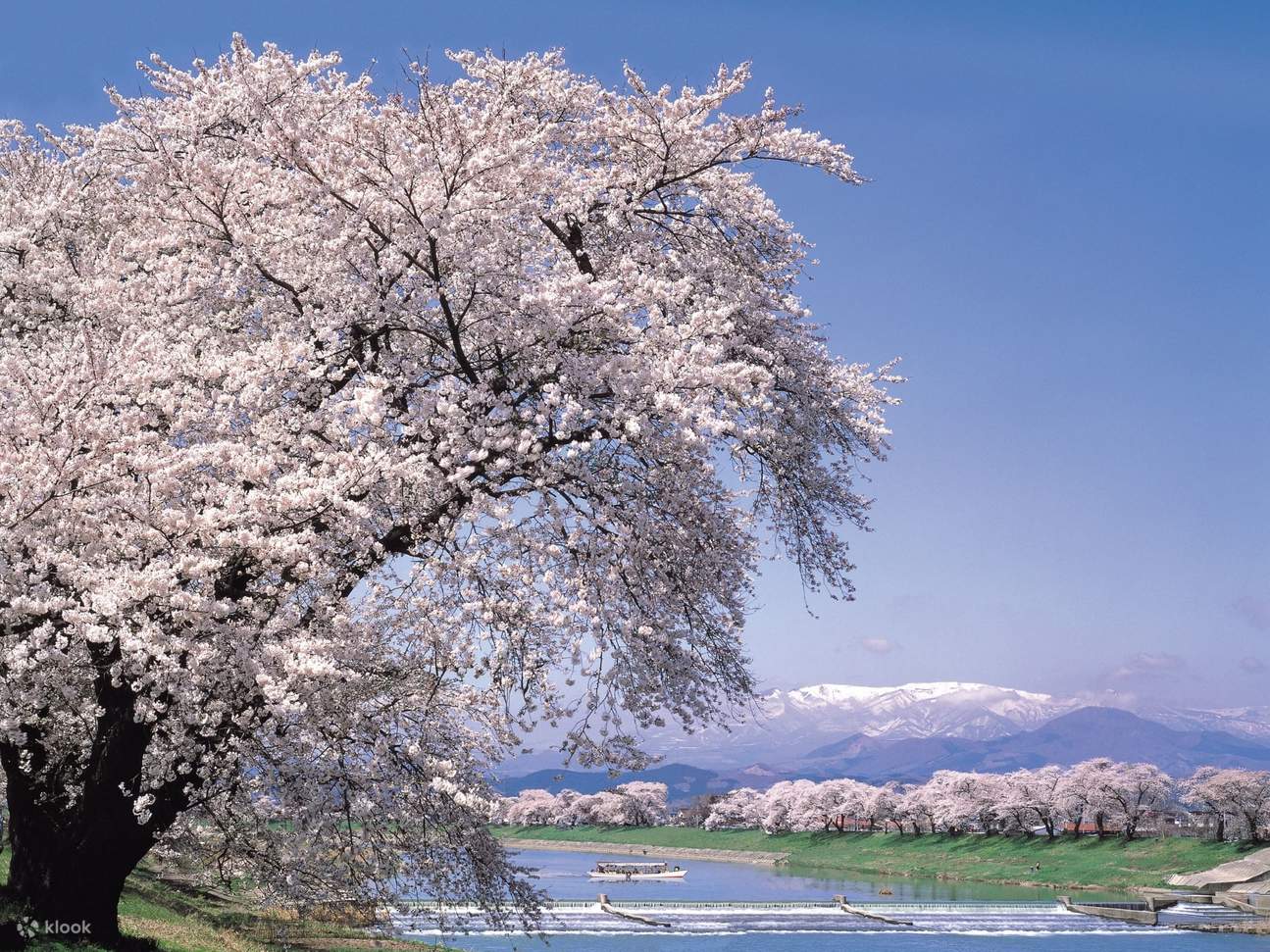 Zao's Snow Wall, Kokeshi Museum, and Hitome Senbonzakuma