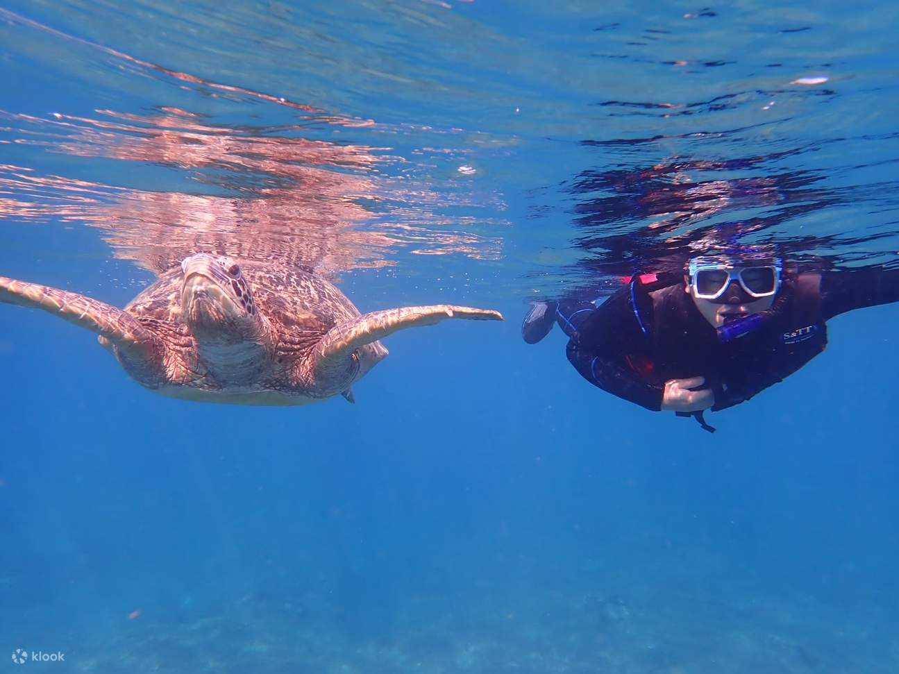Pingtung: Kedai Snorkeling 369 - Pengalaman Snorkeling Xiaoliuqiu Foto Digital Percuma