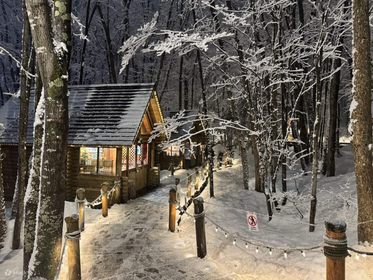Hokkaido: Asahiyama Zoo, Blue Pond & Ningle Terrace Night View Day