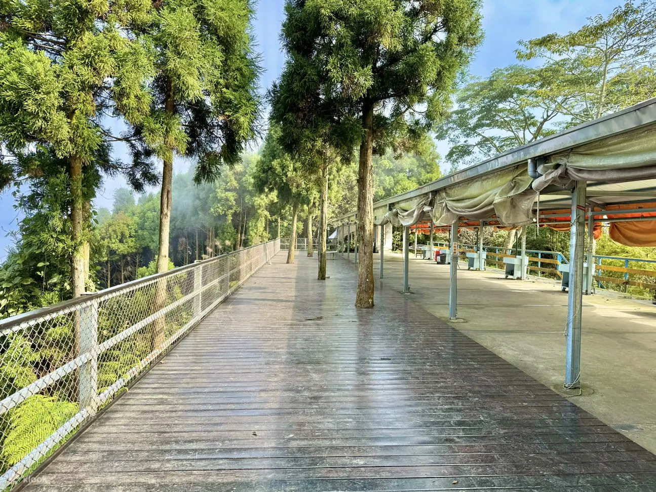 观星赏月营地 观景区
