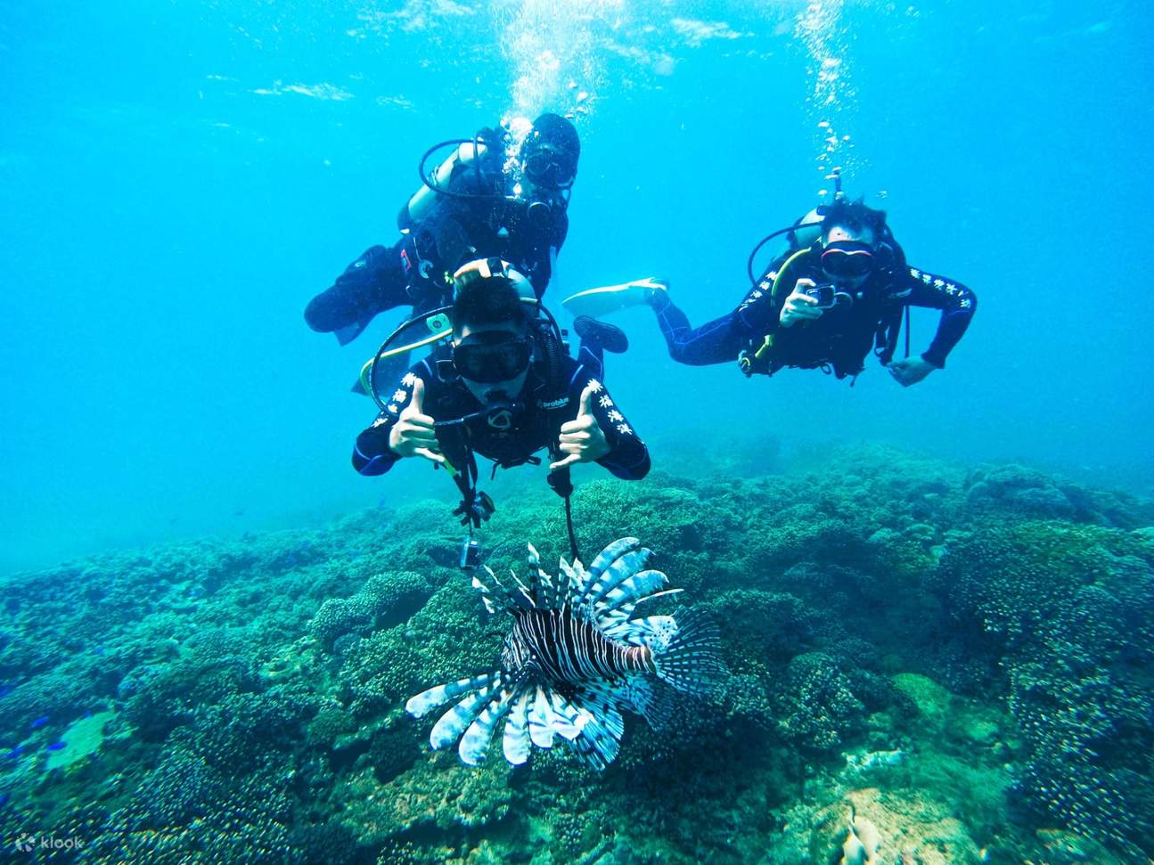 Plongée à Penghu : L'Atelier marin Lofe - Jardin de corail marin - Baptême de plongée