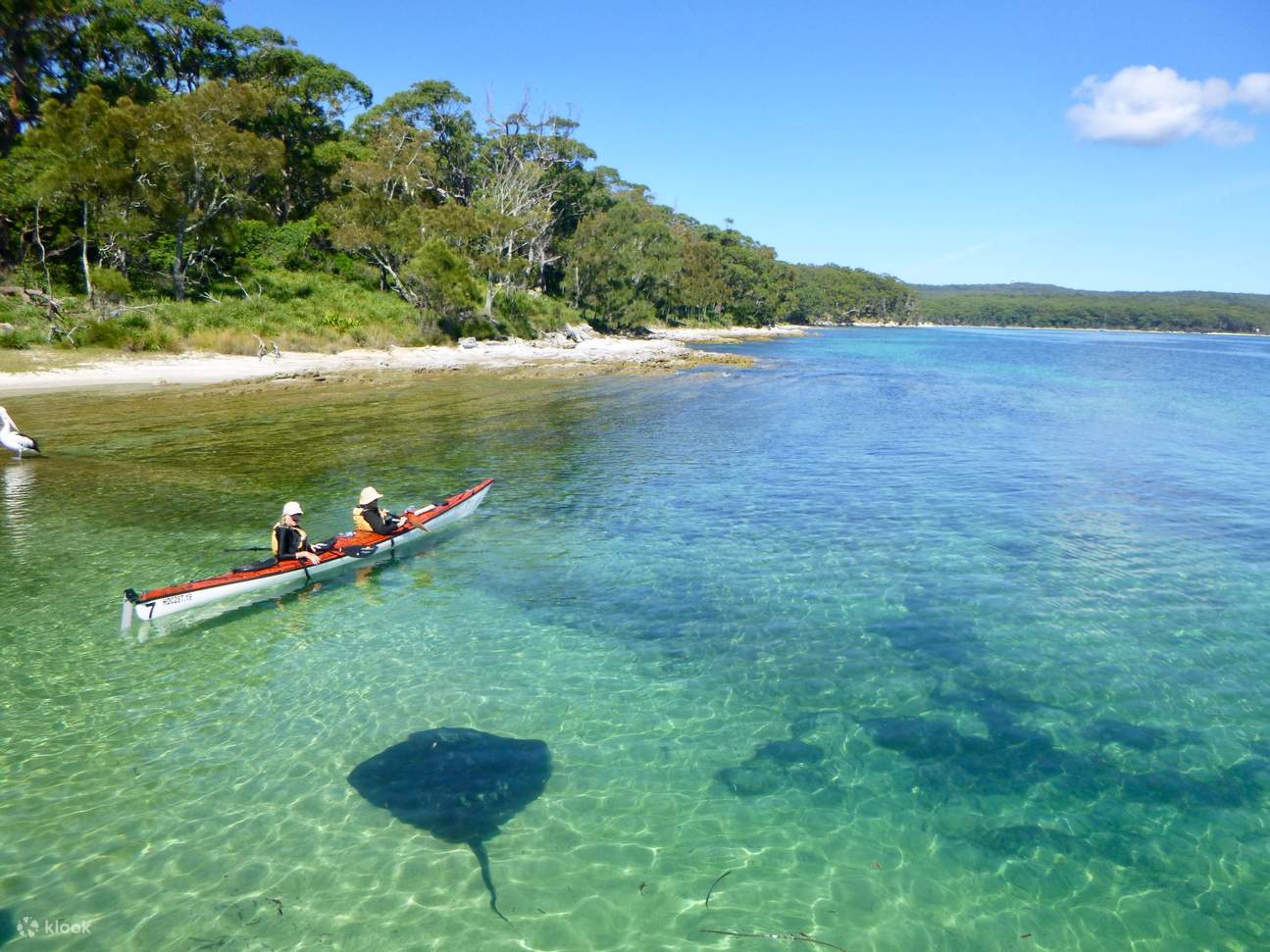 Jervis Bay Kayak