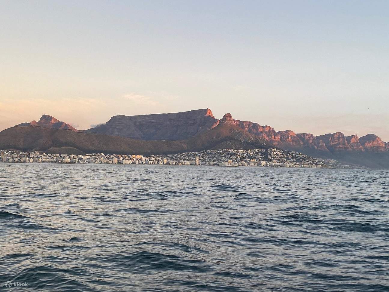 Begegnung mit der Meeresfauna