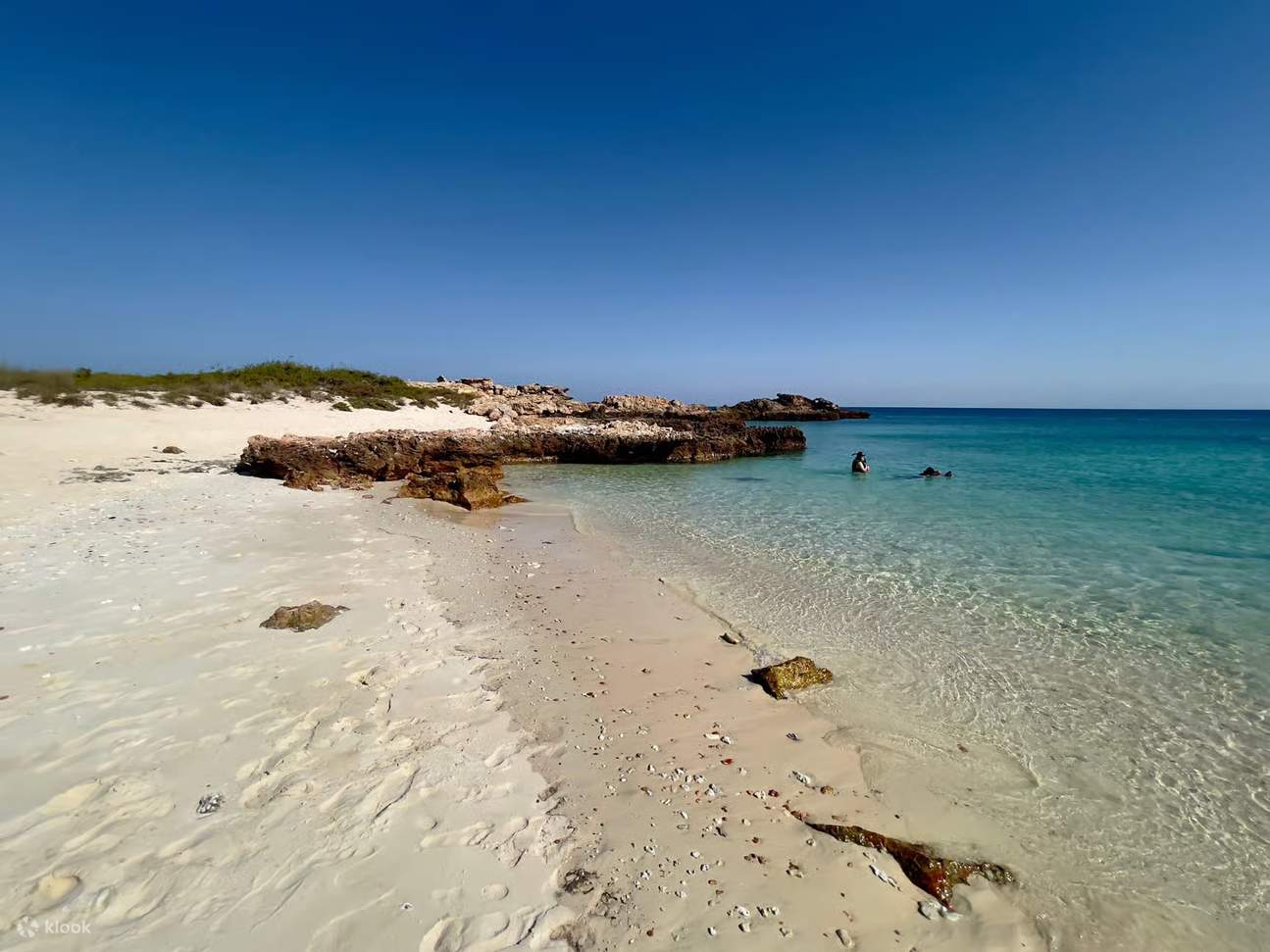 マスカット：ディマニヤット諸島シュノーケリングツアー（軽食付き）