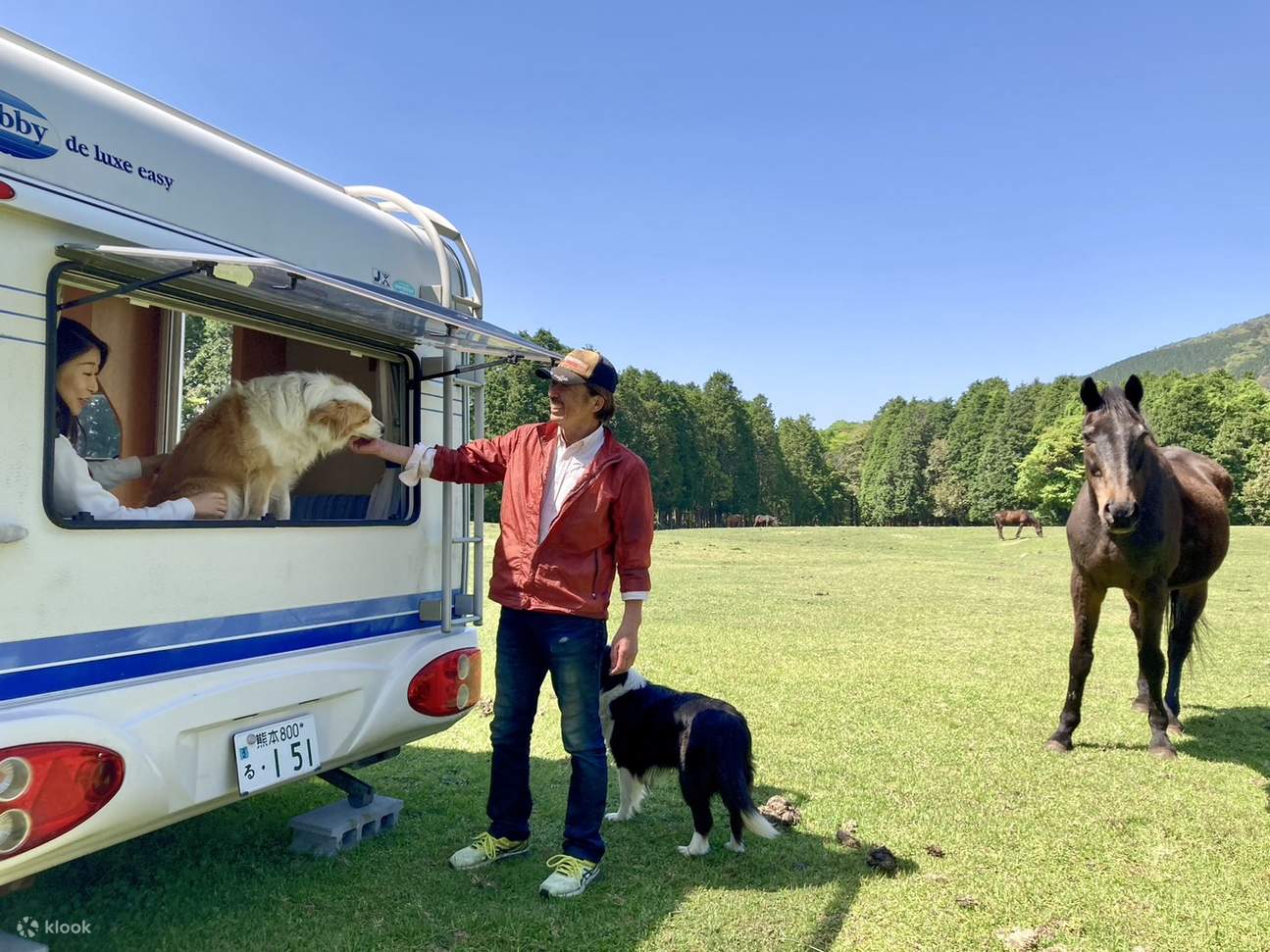 鹿児島ホース・トラストでホースウィスパラーと行く牧草地ハイキング