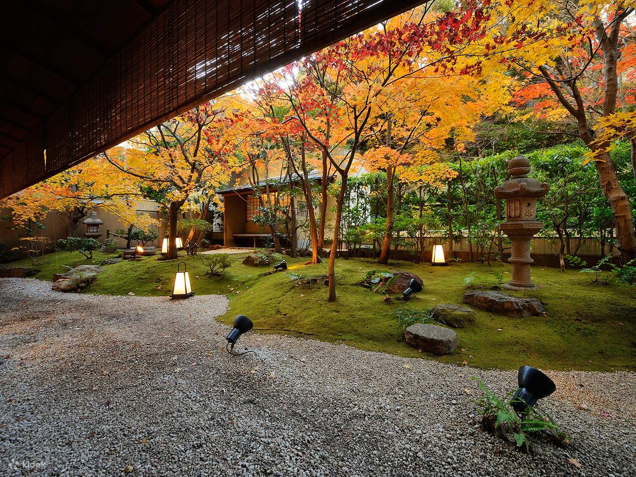 【米其林二星精進料理】- 醍醐 Daigo  - 東京