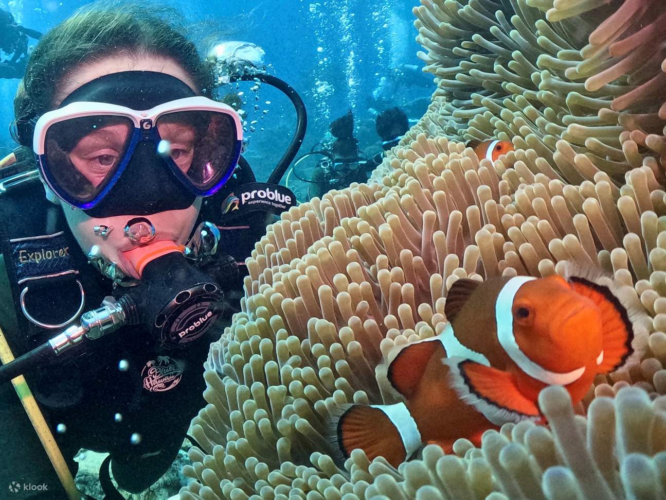 Taitung: Green Island Shuiqing Diving Hostel Taucherlebnis