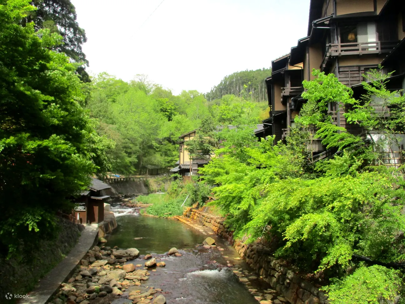 从熊本出发，前往黑川温泉的私人接送服务及可选观光行程