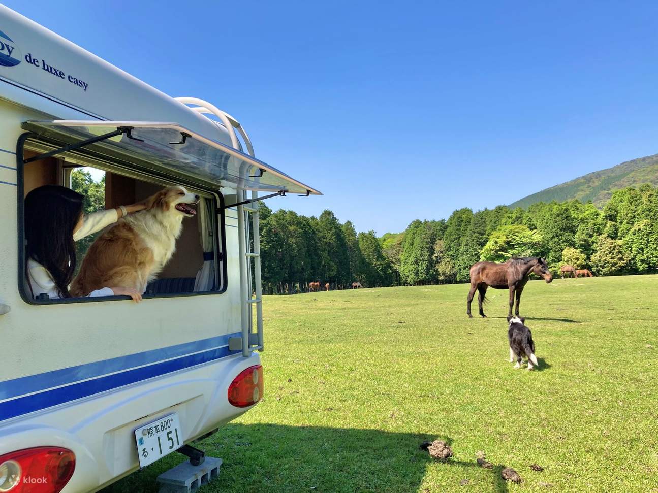 与驯马师在鹿儿岛 Horse Trust 牧场健行