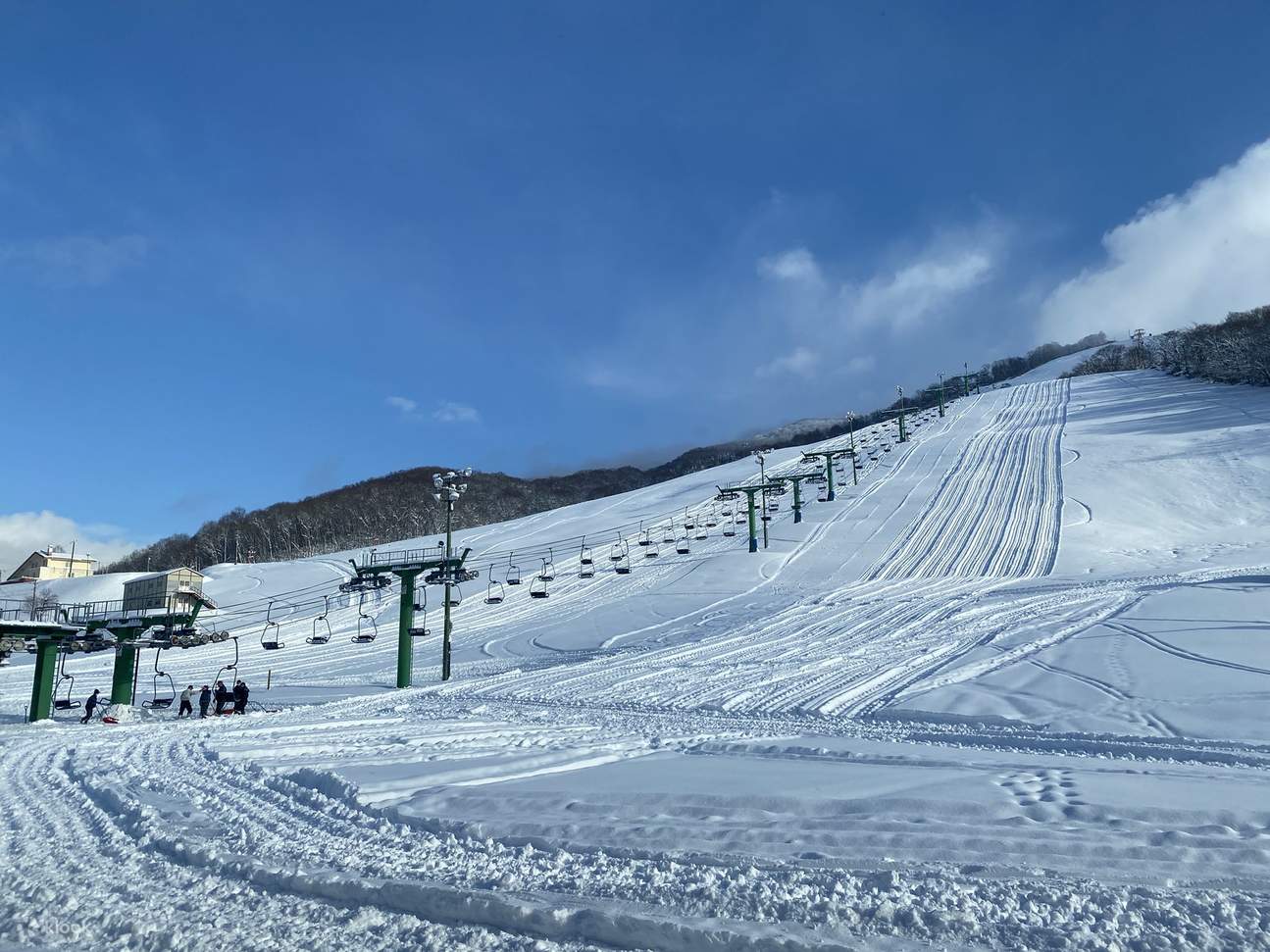 Enjoy the northernmost powder snow: Pippu Ski Day Trip Experience Tour (English or Chinese guide included)