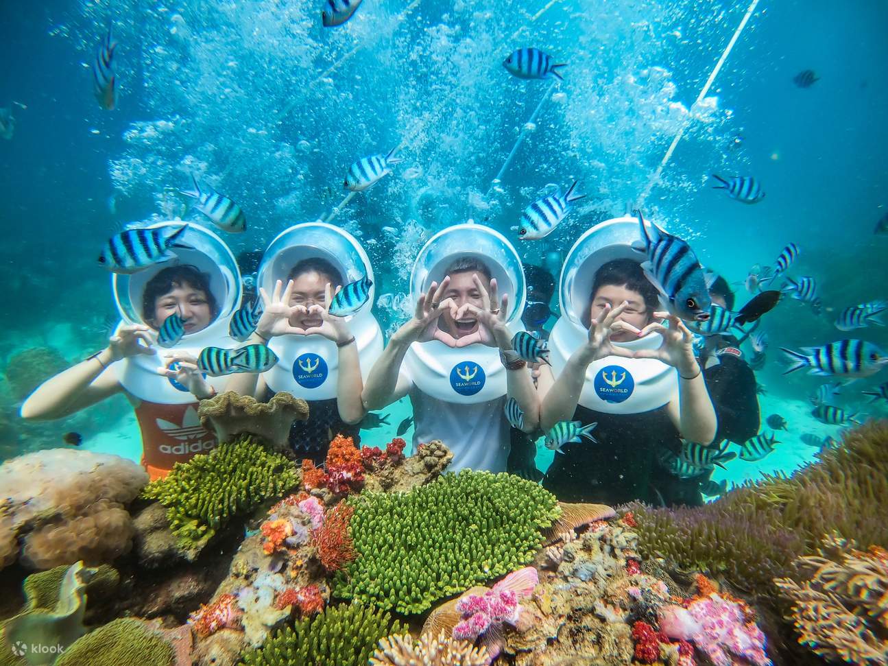 Nautilus Namaste 海上唤醒