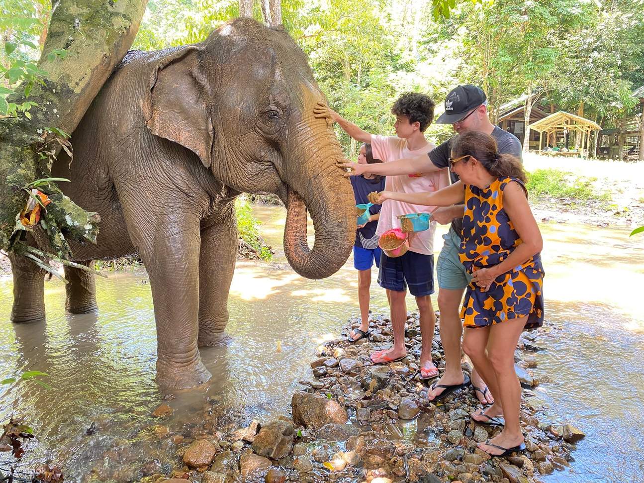 Lawatan Separuh Hari ke Krabi Elephant Care House & Berenang di Air Terjun Huay To