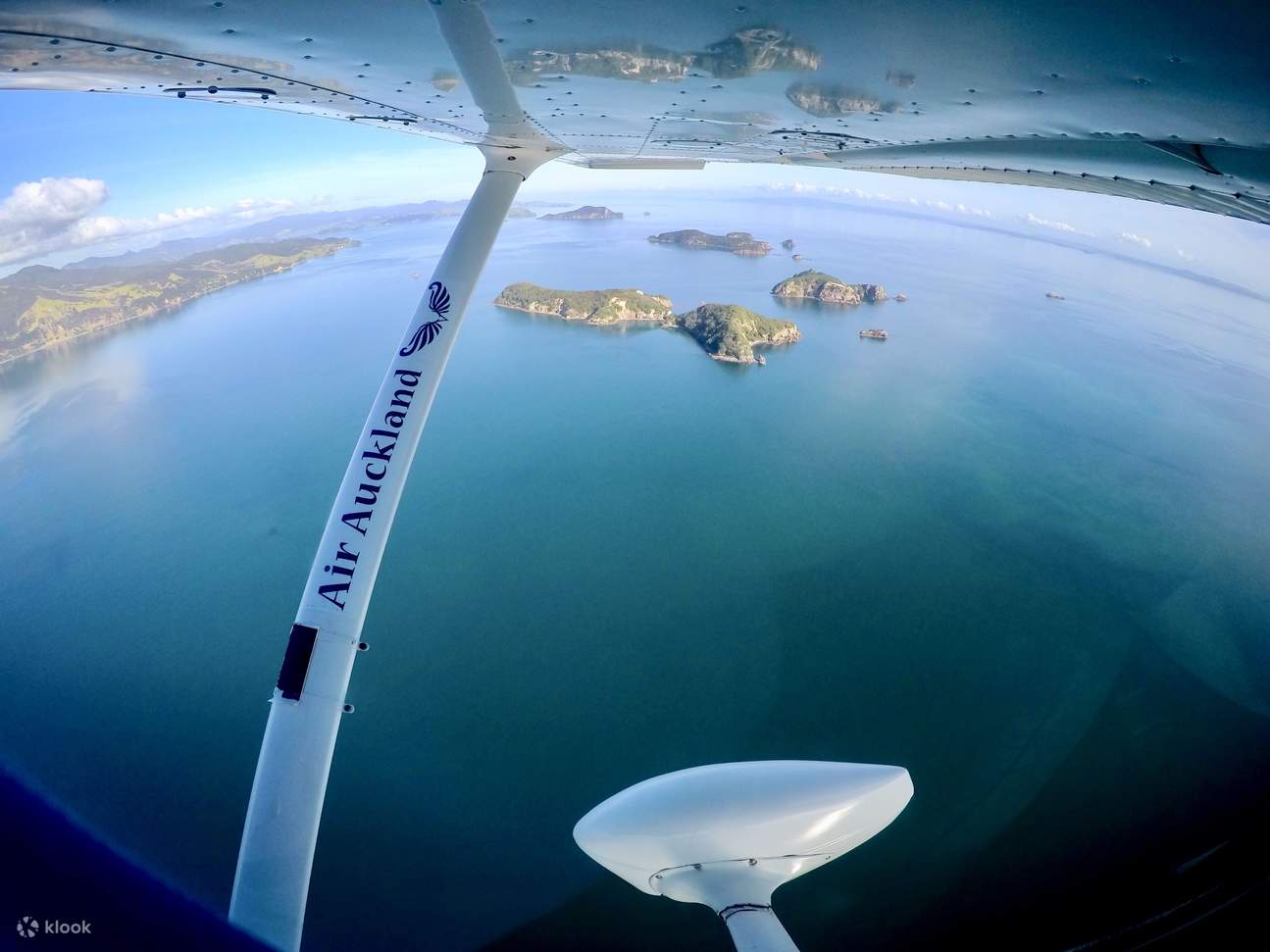 Scenic Flight in Auckland City, New Zealand - Klook Россия
