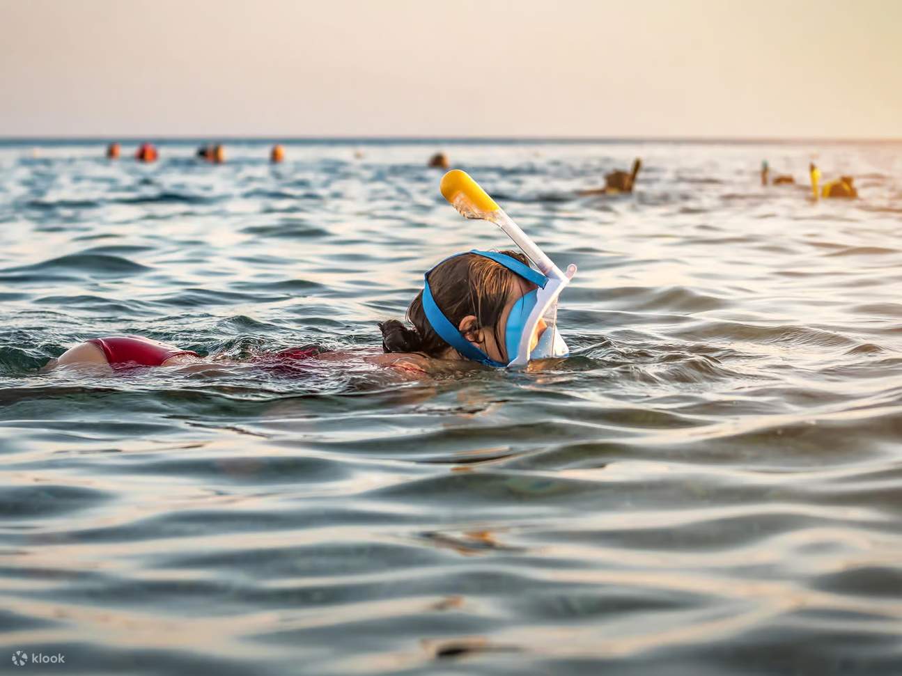 Muscat: Tur Snorkeling Pulau Daymaniat dengan Minuman Ringan