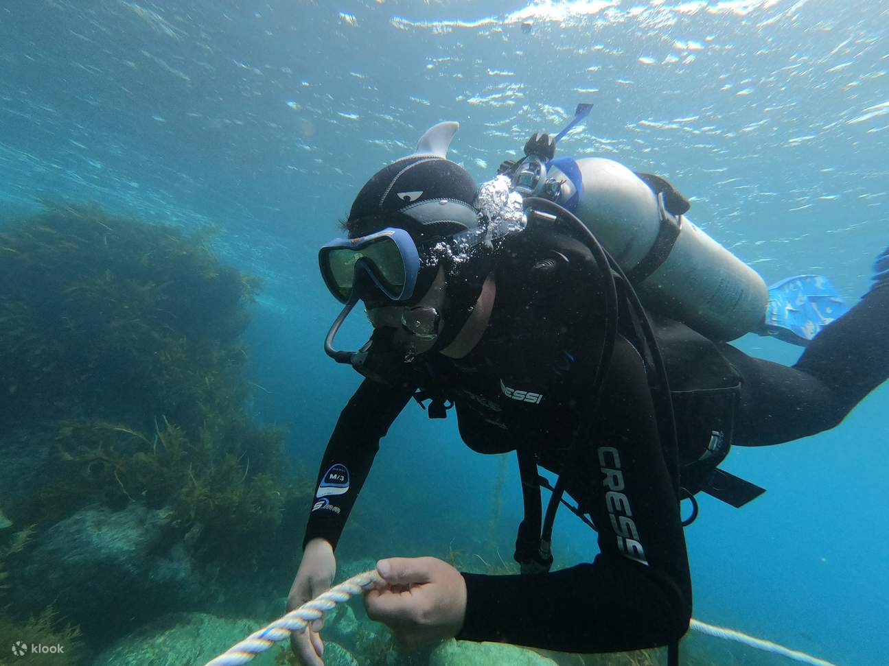 鬱陵島白浦海灘水肺潛水體驗