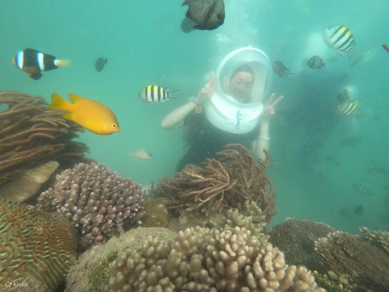 tour 3 đảo nha trang