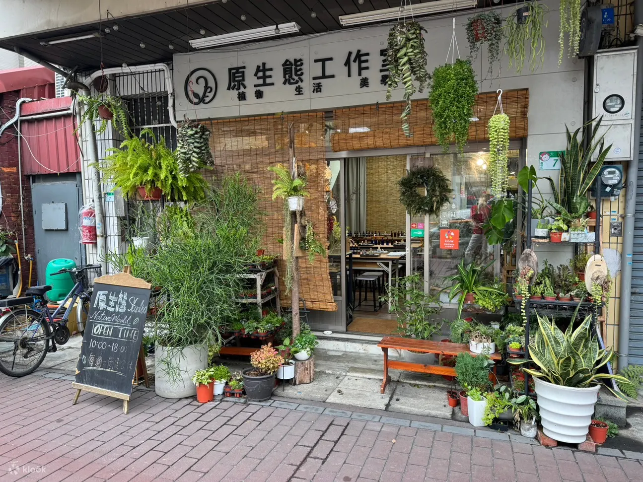 台北: 原生态工作室 - 花艺 & 植物生态瓶 & 多肉青苔球疗愈植栽 (需电话预约)
