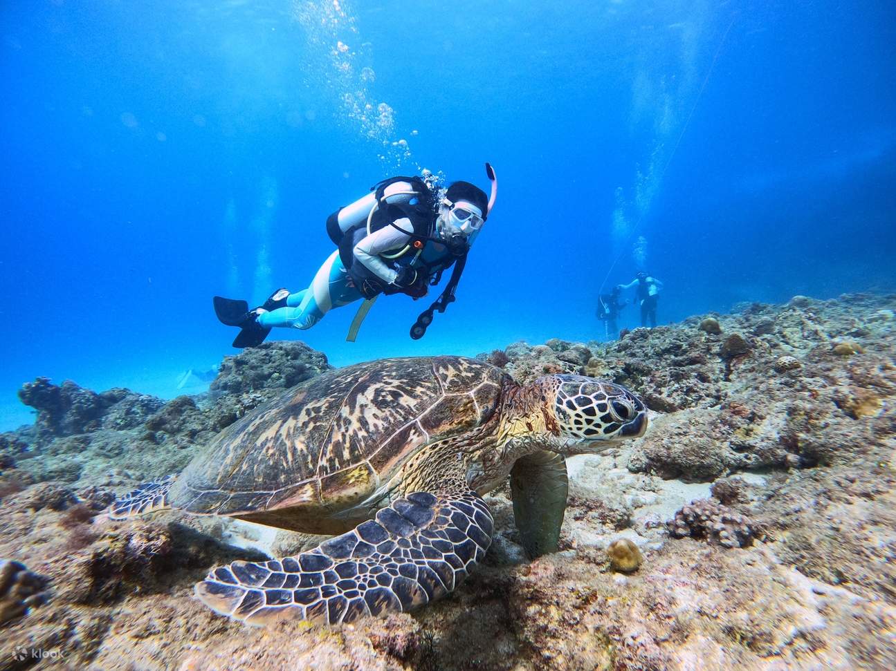 The most romantic thing in Xiaoliuqiu: swimming with sea turtles