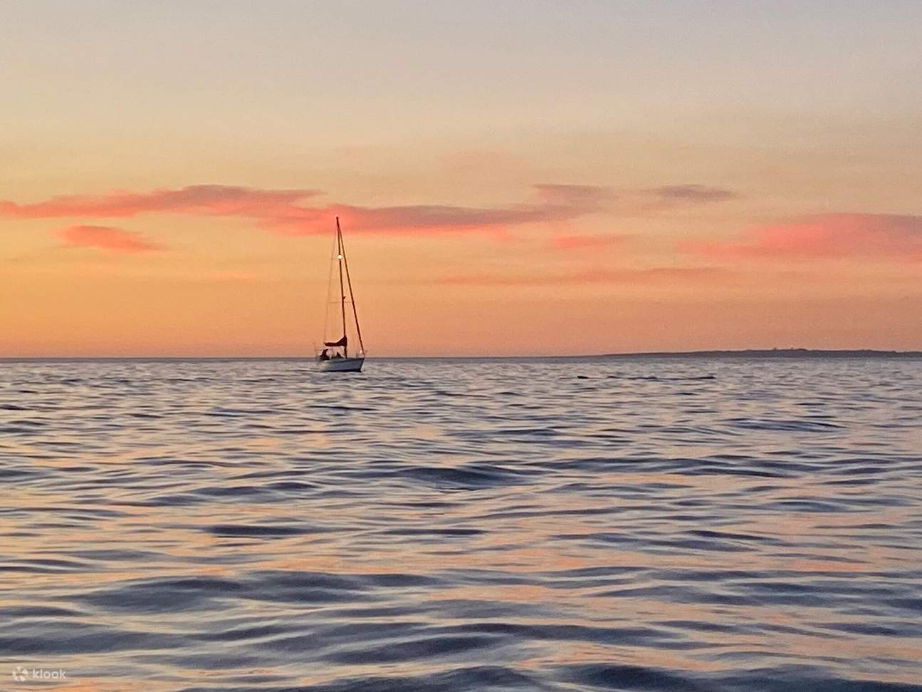 Cuộc gặp gỡ động vật hoang dã đại dương