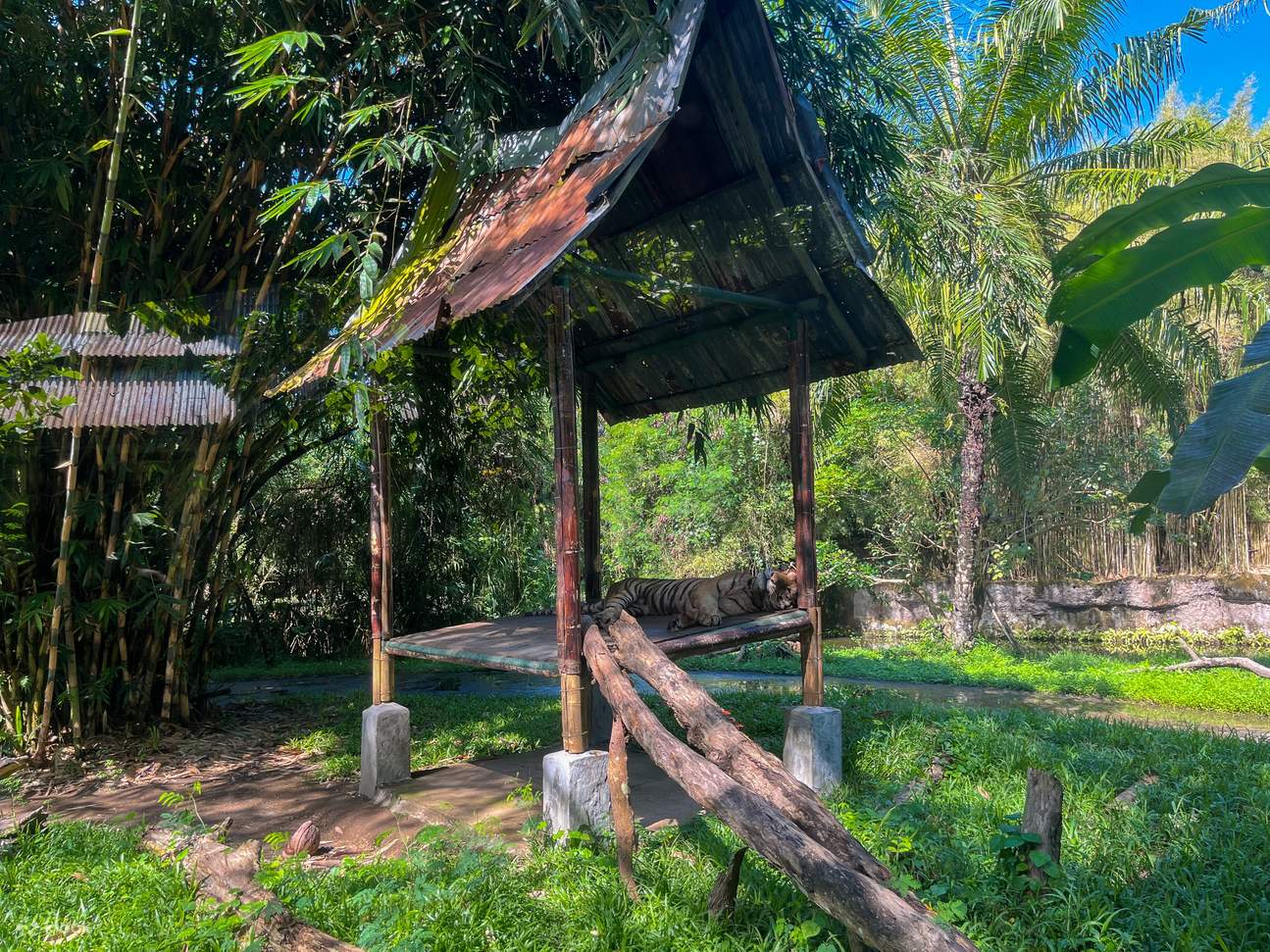 bali safari marine park spot 1