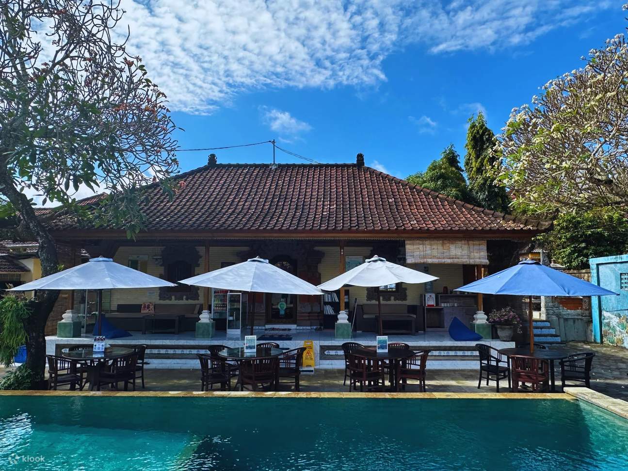 Immergiti nel mondo delle immersioni subacquee nell'invitante piscina di Bali, dove le sessioni PADI Discover Scuba Diving trasformano i principianti in appassionati subacquei sicuri di sé.