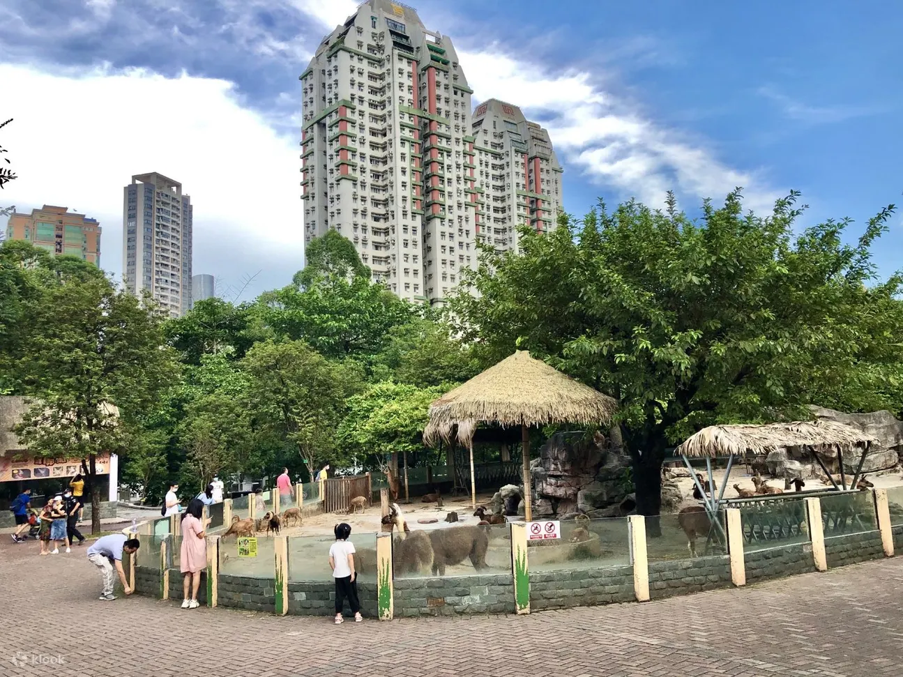 包车游览 广州动物园&珠江新城一日游