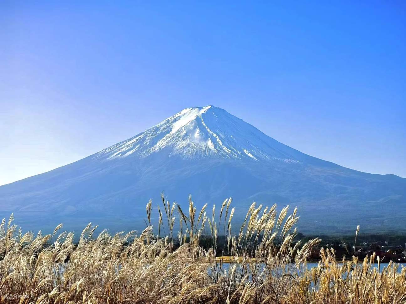 Tokyo Private Car Charter │ 후지산, 가와구치코 호수, 오시노 핫카이 온라인 예약 - 클룩 Klook 한국