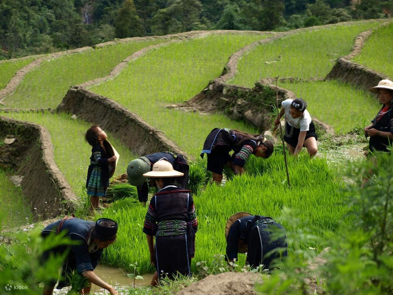 Tour di Sapa 2 giorni e 1 notte dalla funivia Hanoi Fanxipang o dal ...