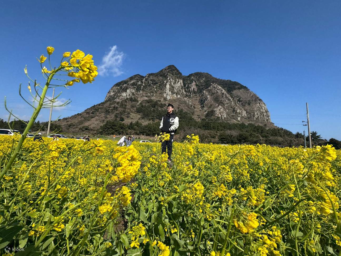 Jejun Module Jeju UNESCO -päiväretki risteilyvieraille - Klook Suomi