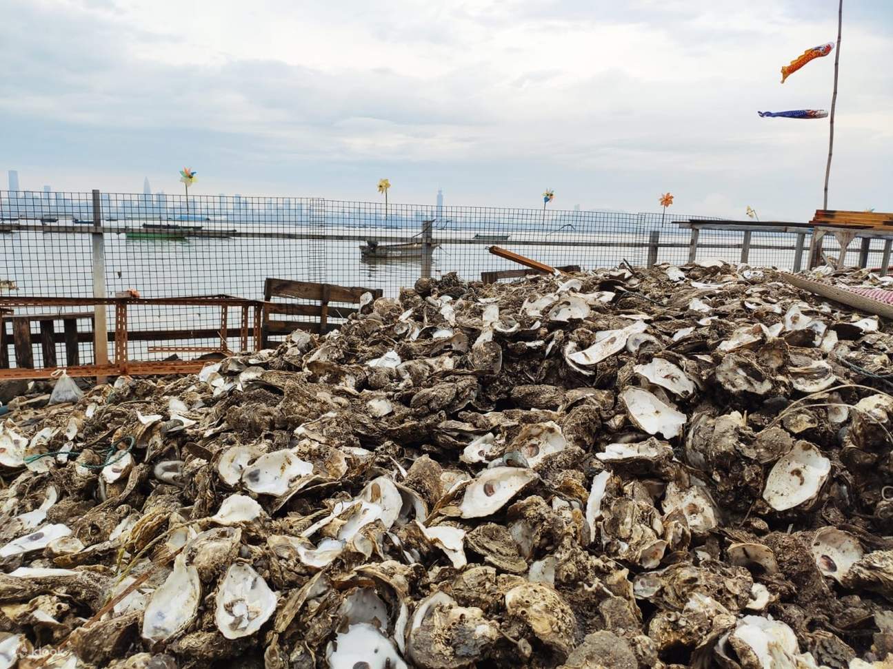 Yuen Long Pineapple Farm Tour Klook Hong Kong