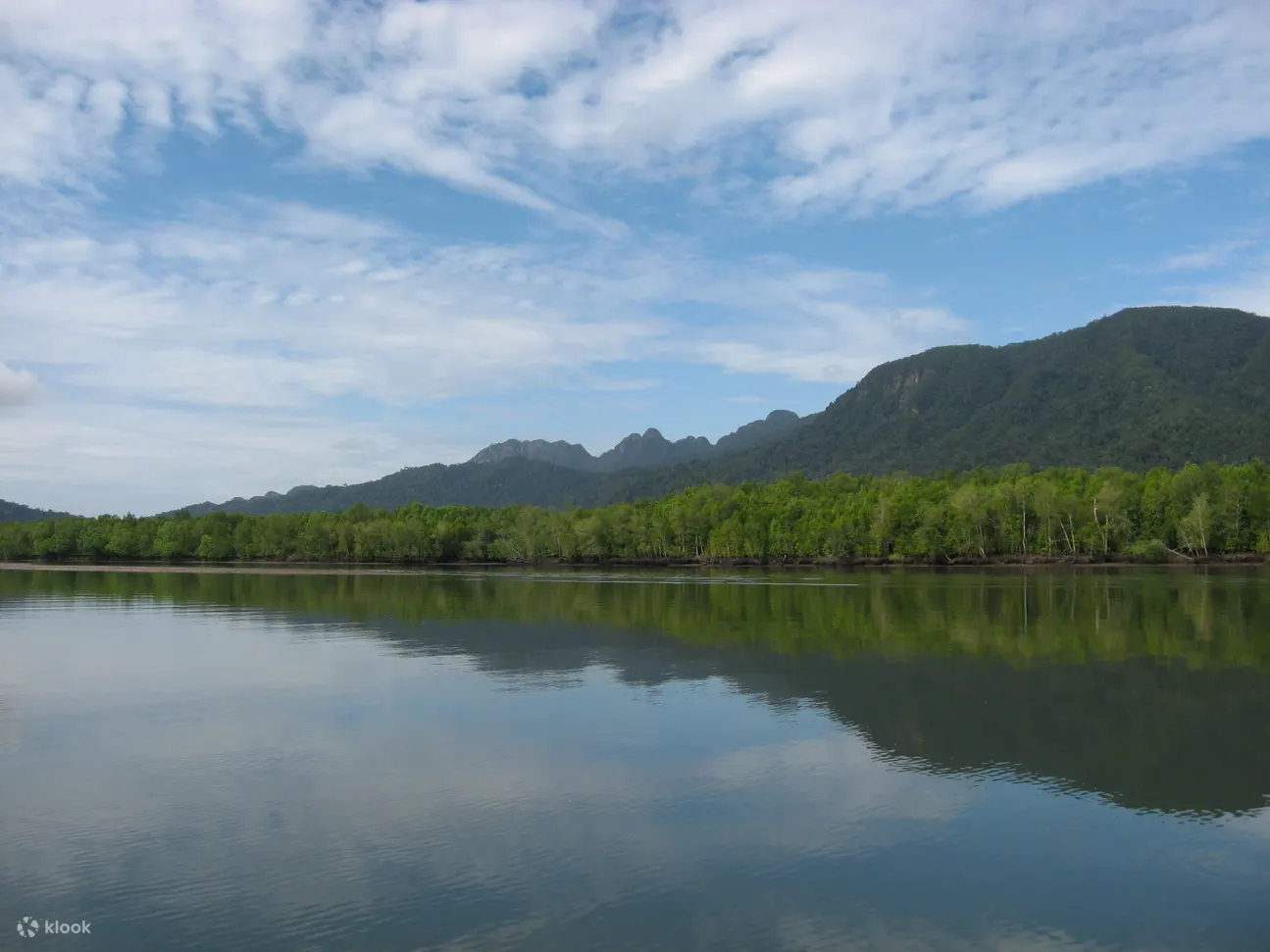 Kubang Badak River Mangrove Forest