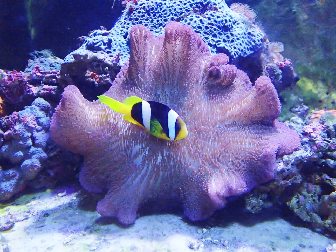 野柳海洋世界