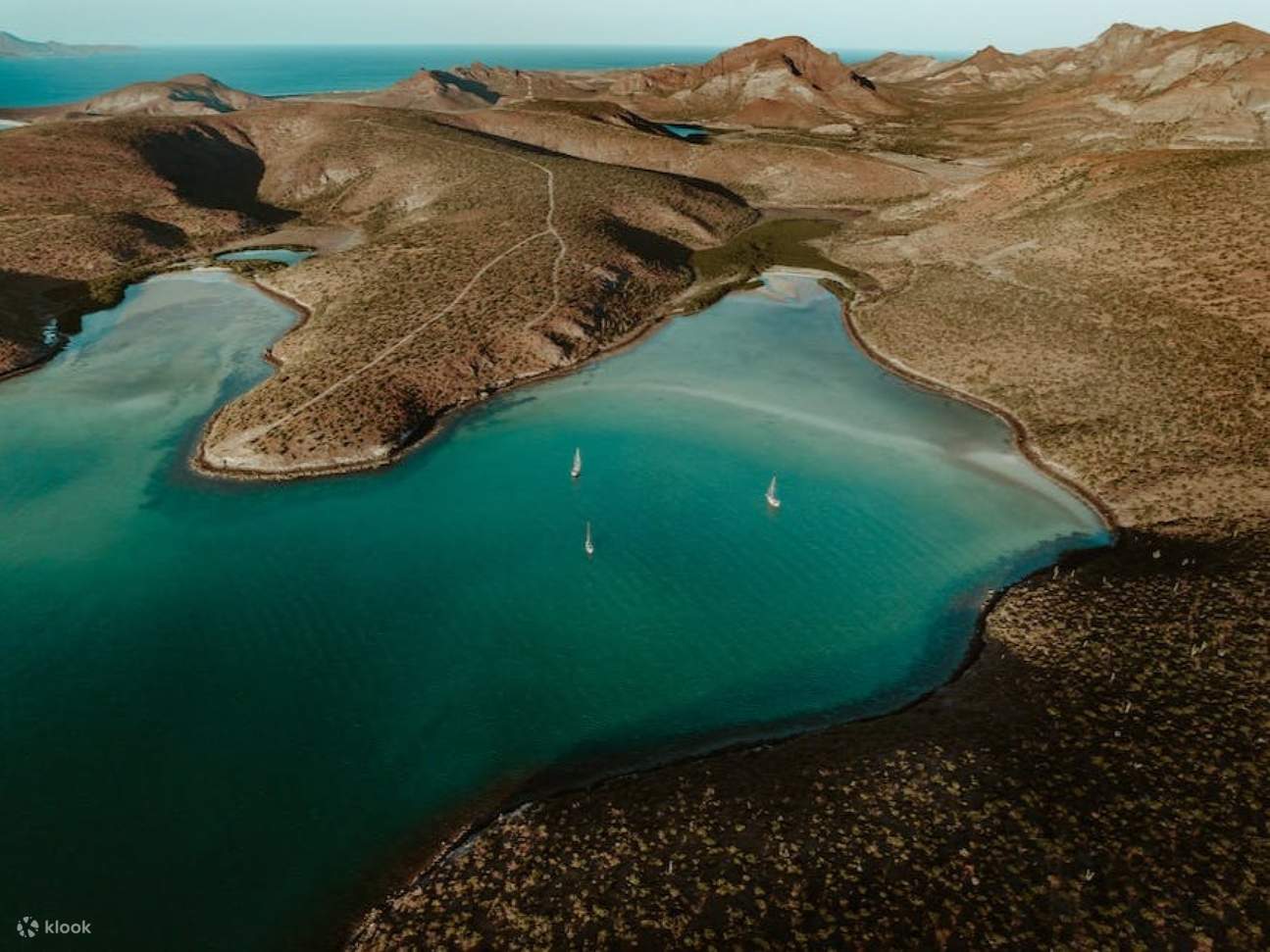 Esplora spiagge mozzafiato, calette nascoste e una vivace vita marina tutto intorno a te