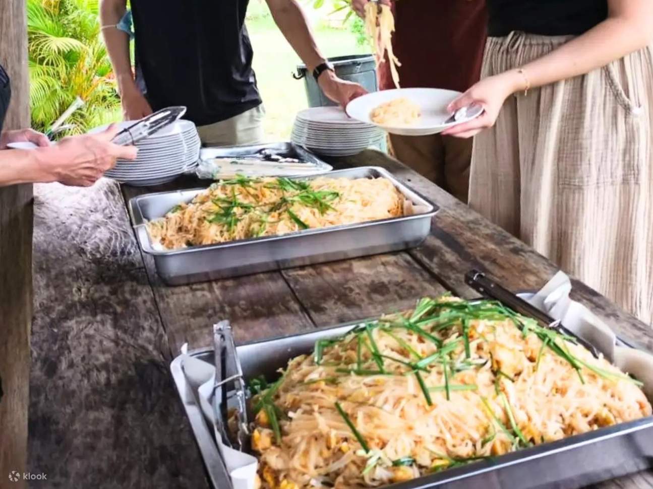 清邁出發，前往春武里府綠野仙蹤大象保護區