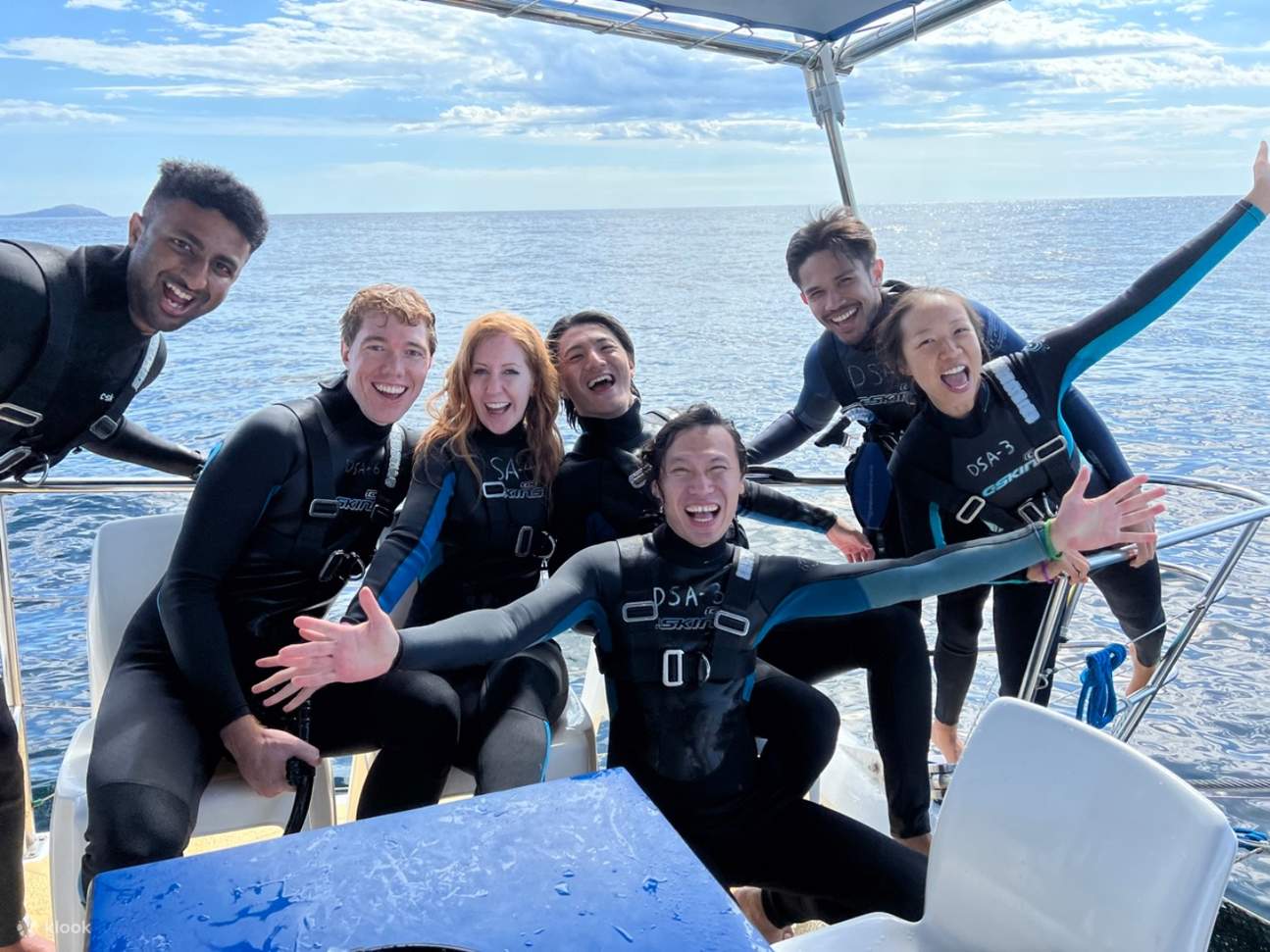 Wild dolphin watching in Port Stephens