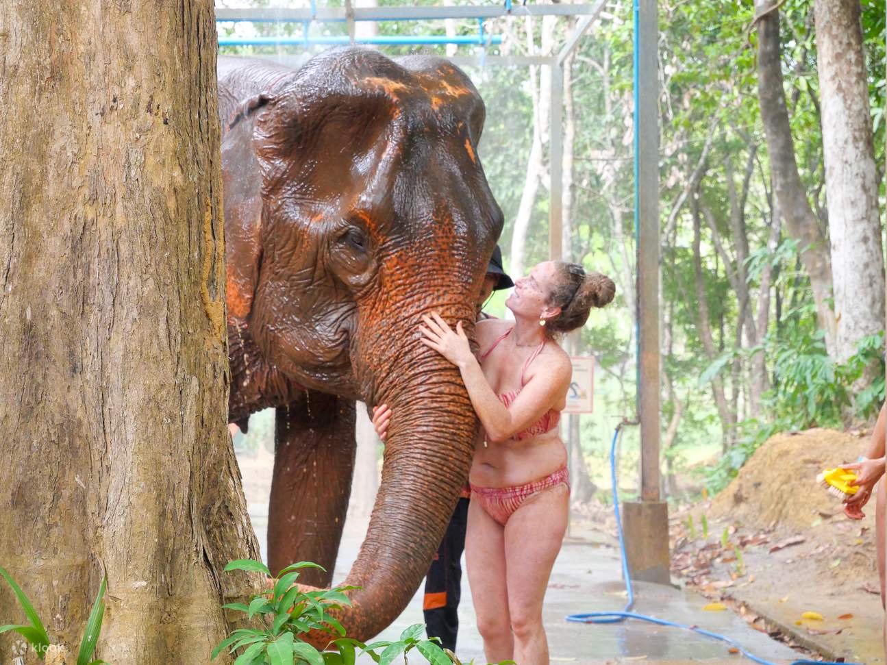 Esperienza al Krabi Elephant Shelter