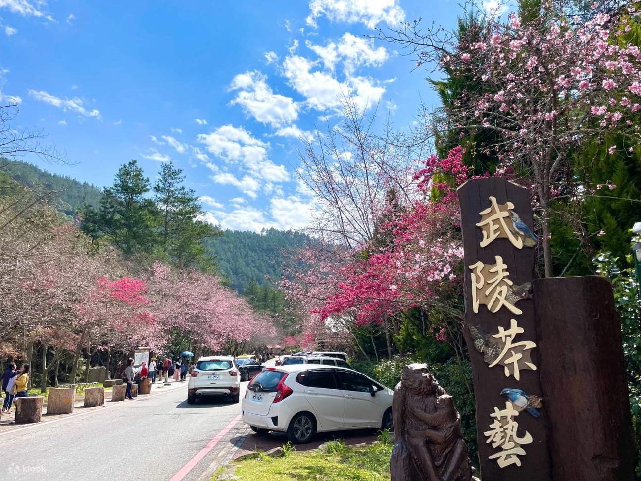 Wuling Farm Wuling Farm Cherry Blossom Season One-Day Tour (Departing from Taichung ...