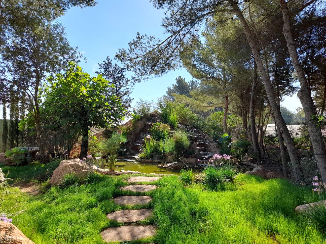 이비사 생명공학 식물원 투어