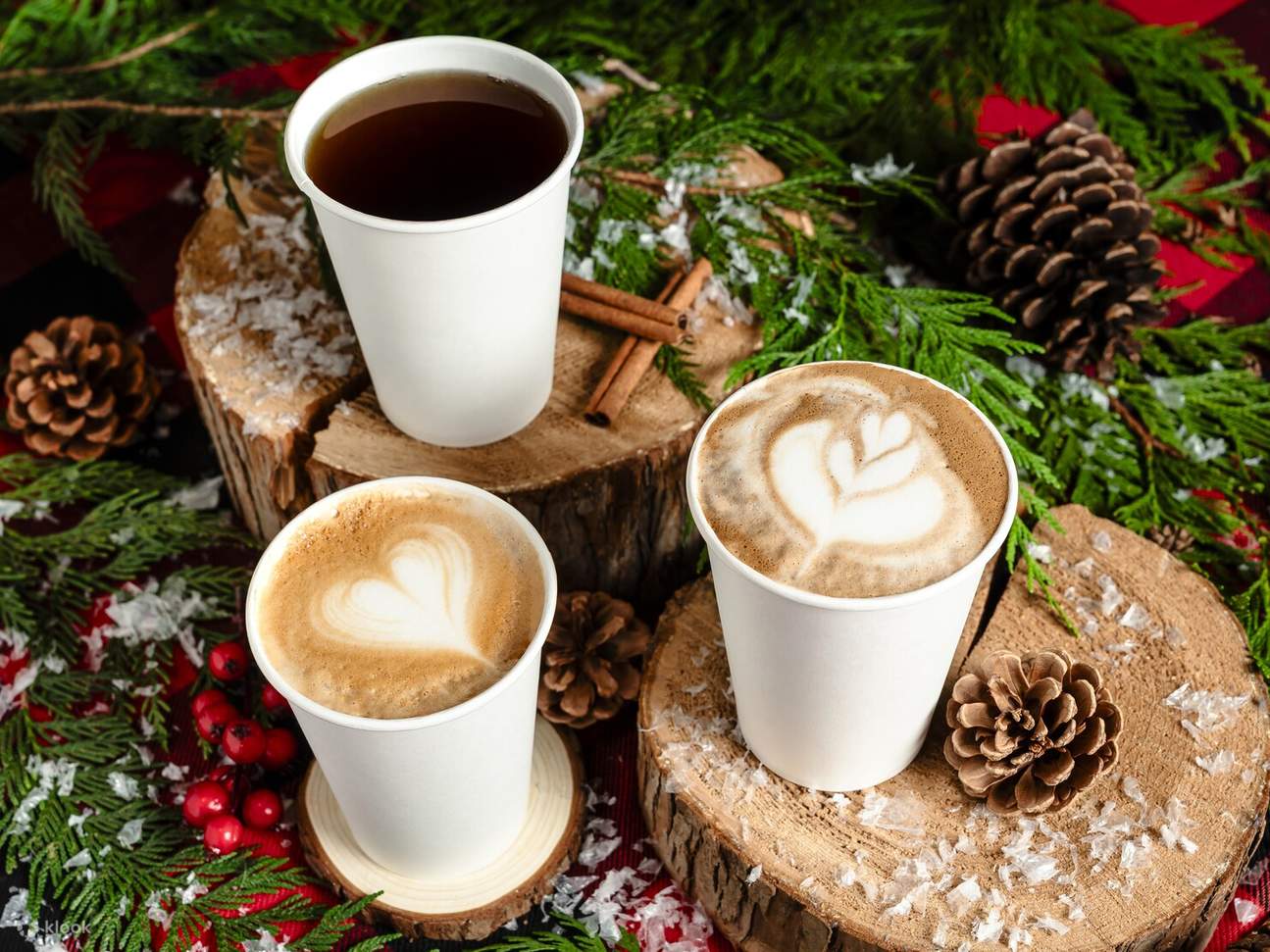 Vé Công Viên Cầu Treo Capilano ở Vancouver