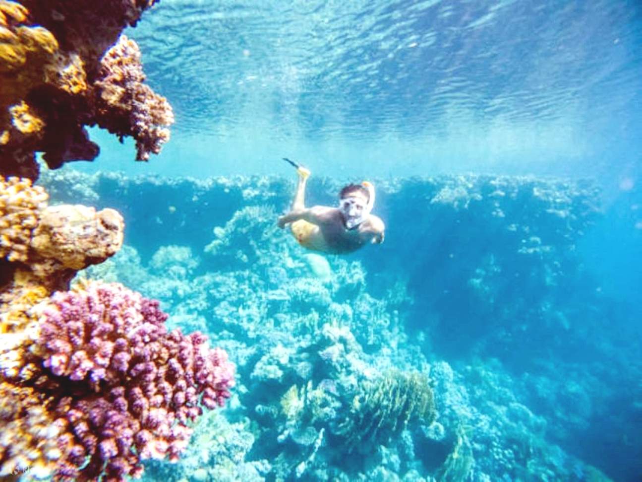 Sahl Hasheesh: Diving or Snorkeling Boat Trip with Lunch
