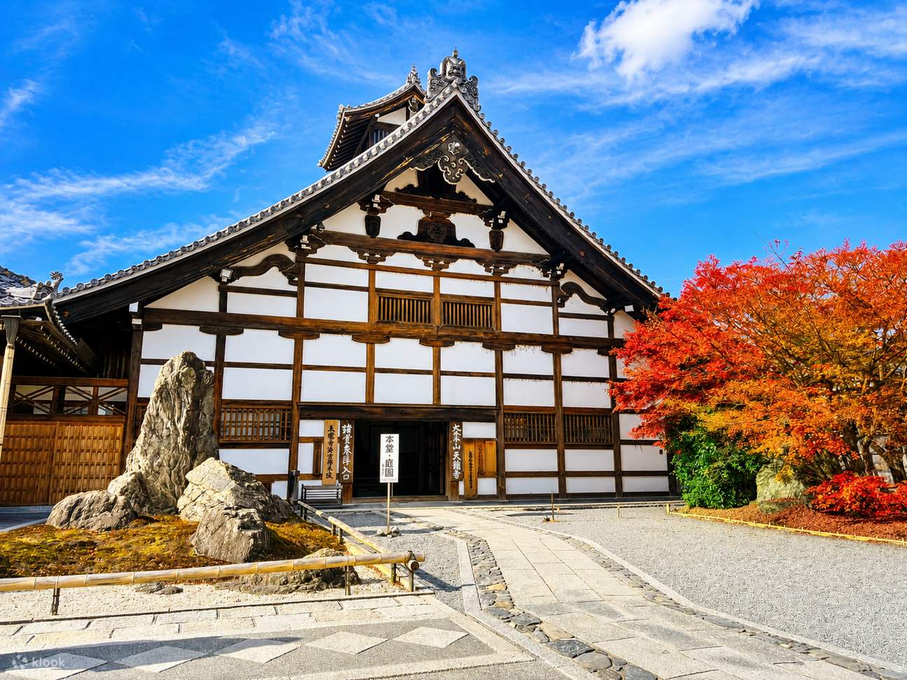 Arashiyama Bamboo Forest & Nara Park Deer & Fushimi Inari Shrine Torii ...