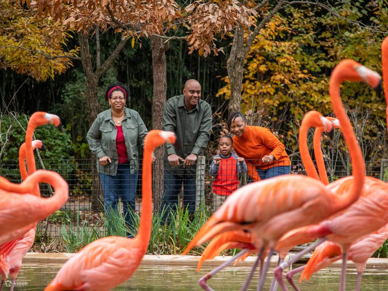 納什維爾動物園快速通道門票