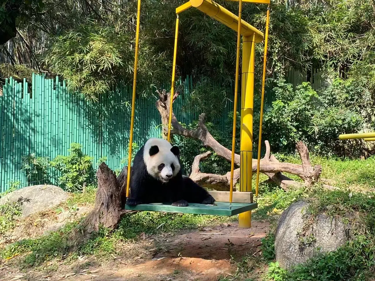 广州长隆欢乐世界/动物世界旅拍