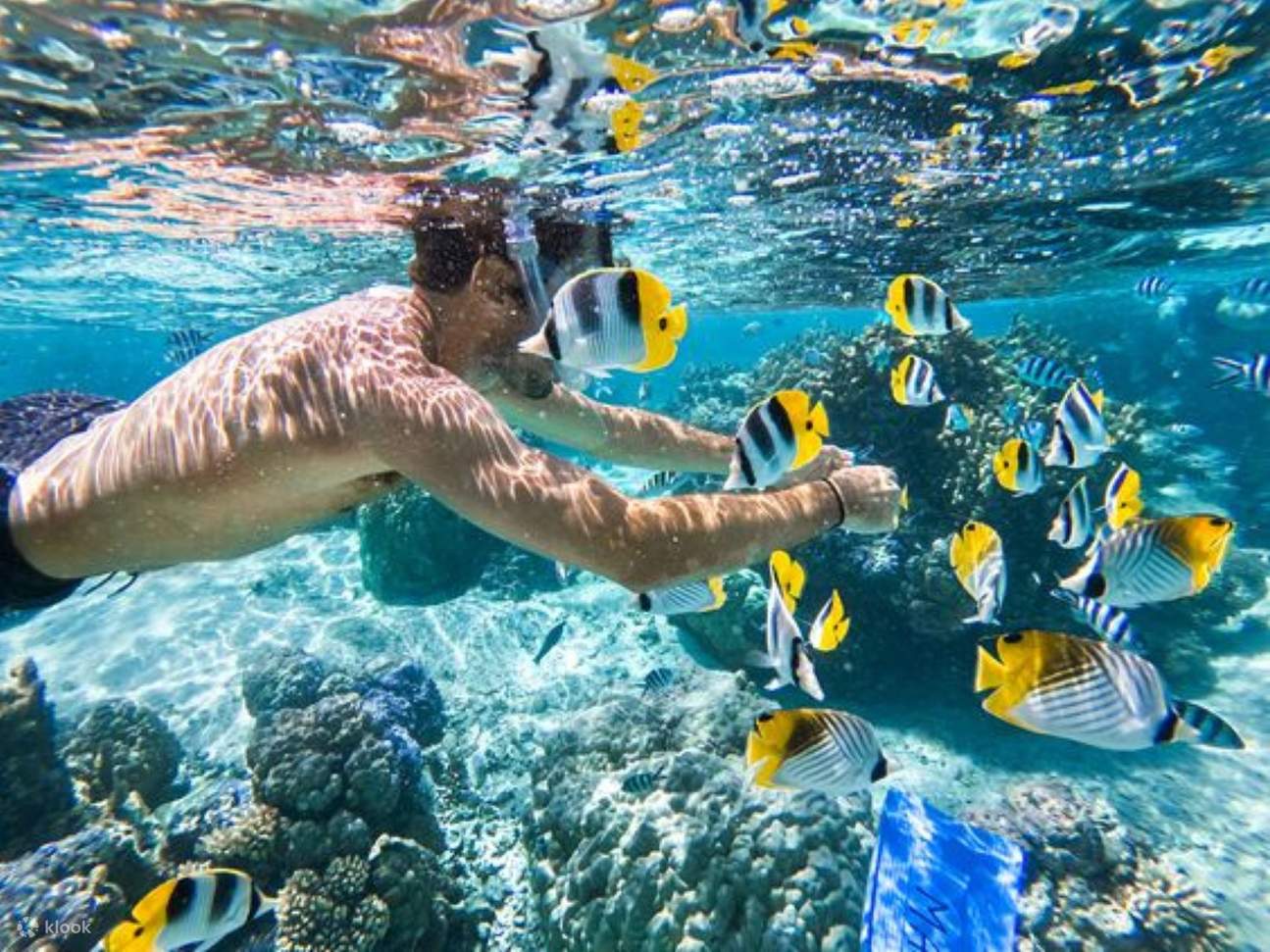 Coral Gardens Full Day Snorkeling Sea Trip & Lunch – Marsa Alam