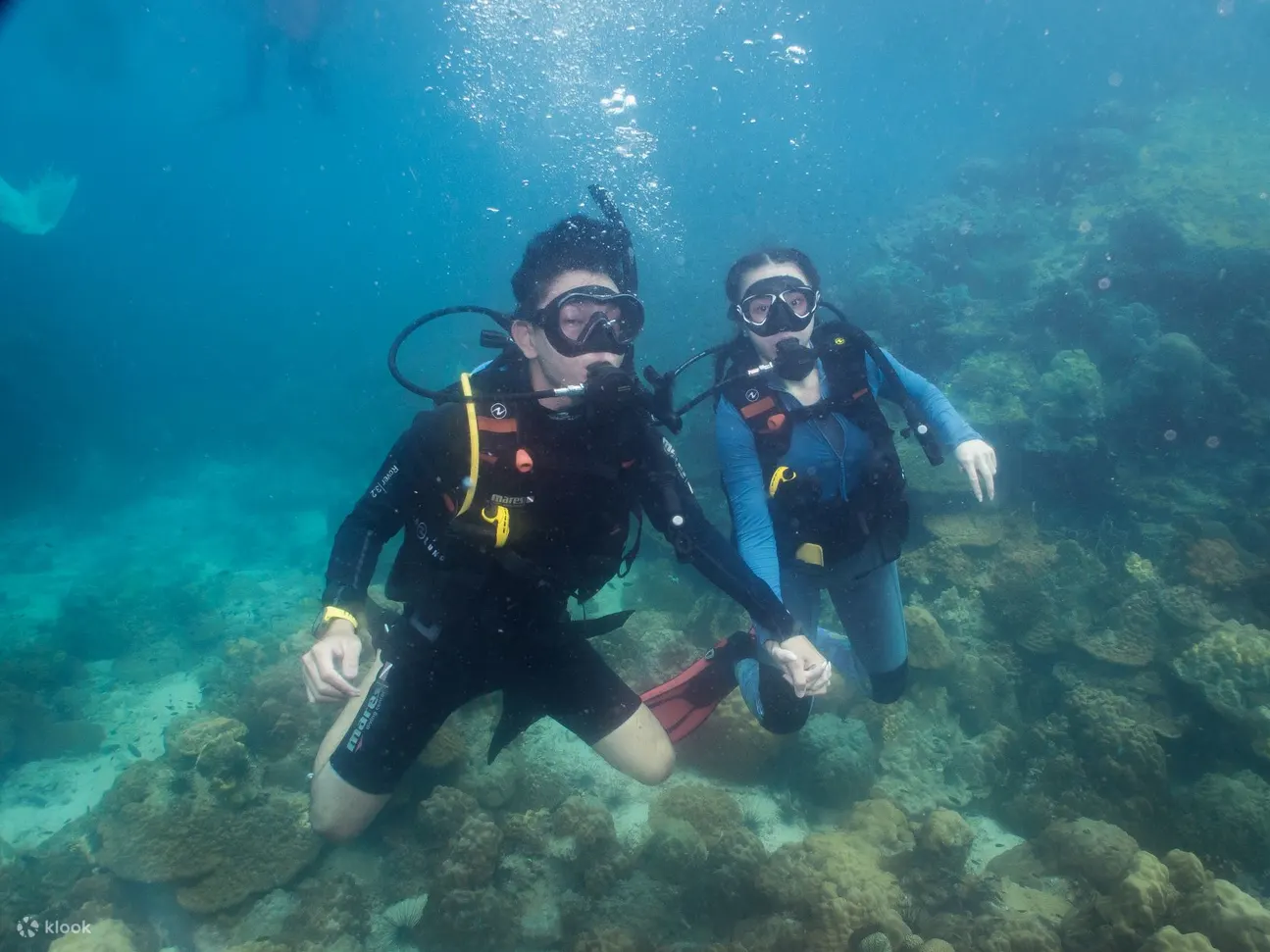 PADI ReActivate 水肺复习课程